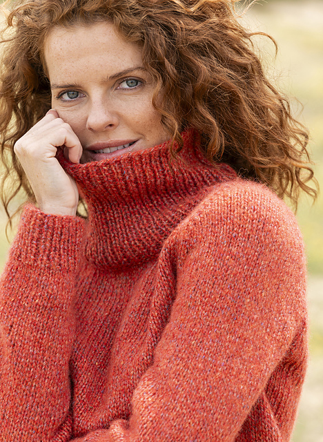 Pull jersey raglan col roulé - M6036