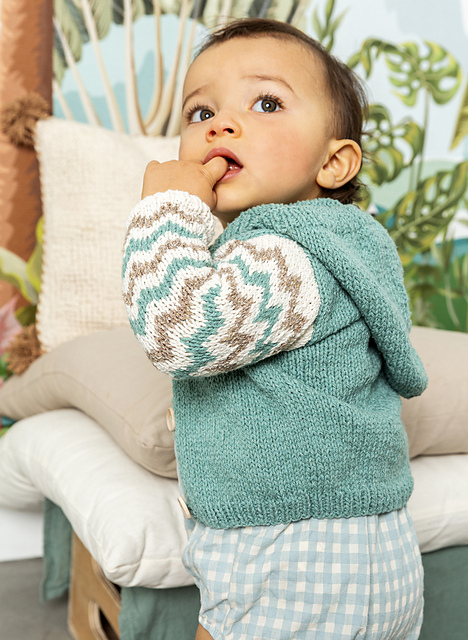 Gilet à capuche manches jacquard - M6180