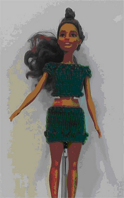 Fashion Doll  Petite Set