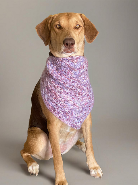 Icing on the Cake Cowl