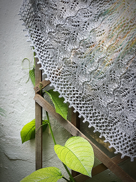 Lattice and Leaf Shawl