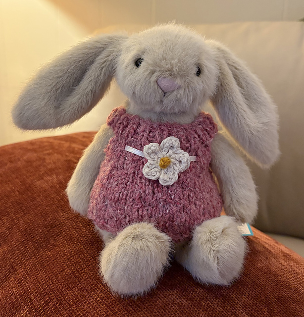 Small Bunny Dress