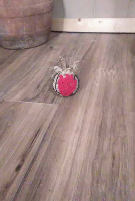 Wilson the Isolation Friend