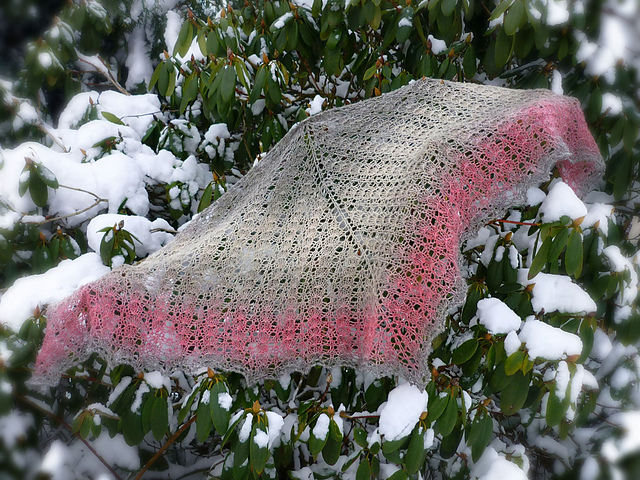 Lion's Lace Shawl