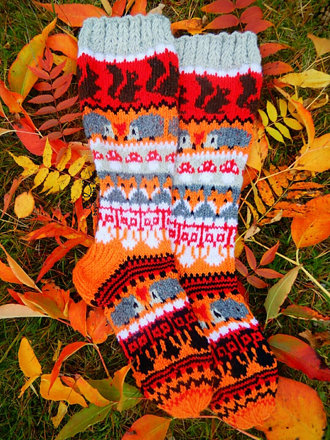 Animals in Autumn Forest