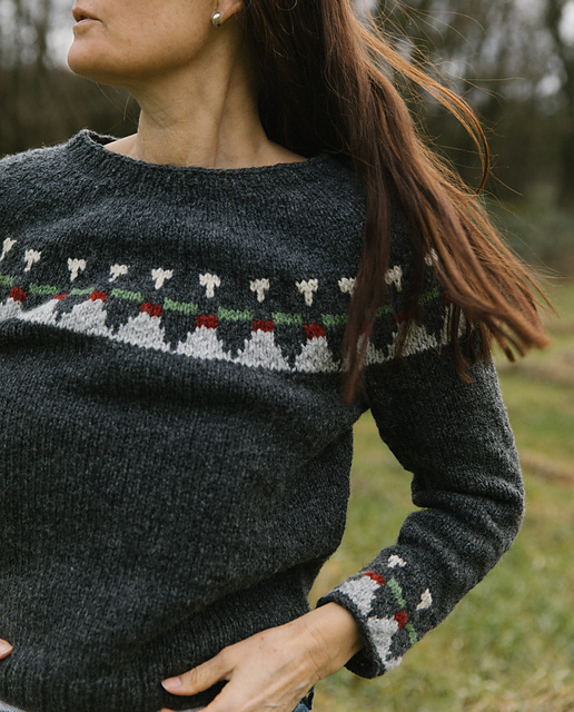 Louise's sweater - Biches & Bûches no. 9