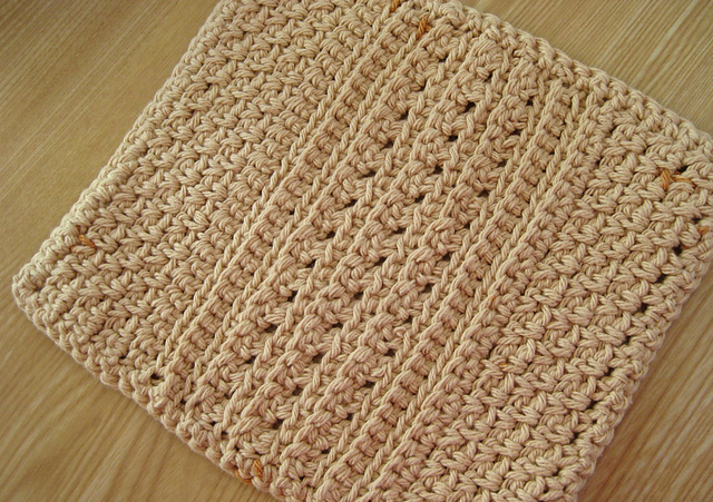 Big Girl Dish Cloth/Wash Cloth