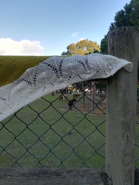 Left Handed Shawl