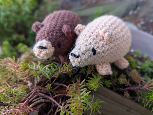 Bear