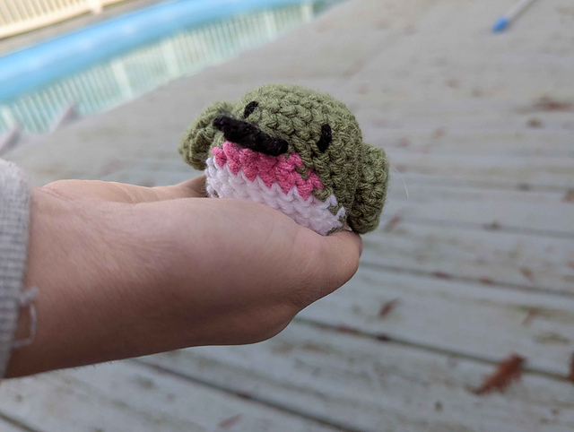 Anna's Hummingbird