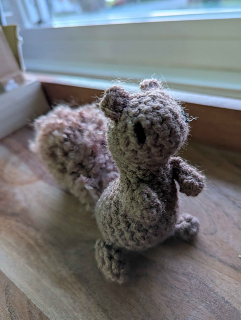 Squirrel