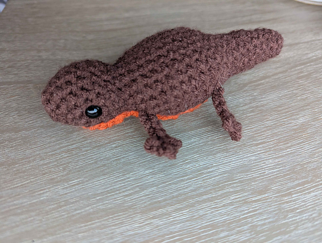 Salamander