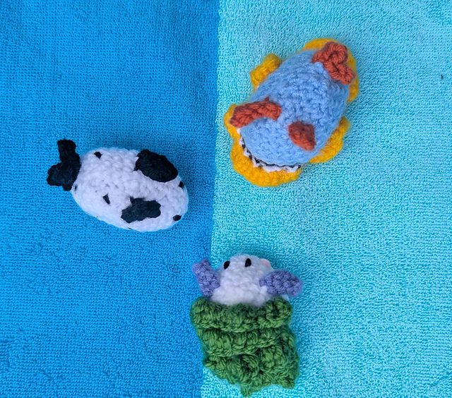 Sea Slugs