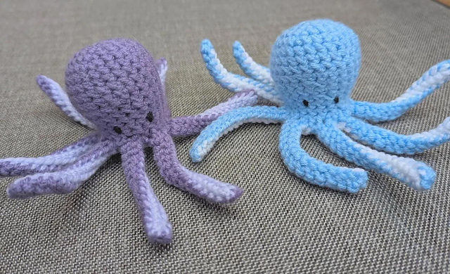 Octopus