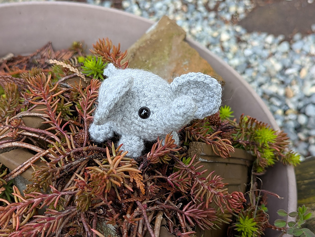 Elephant