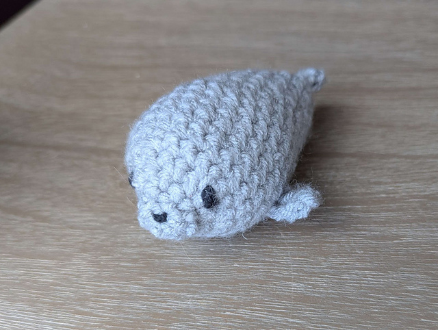 Harbour Seal