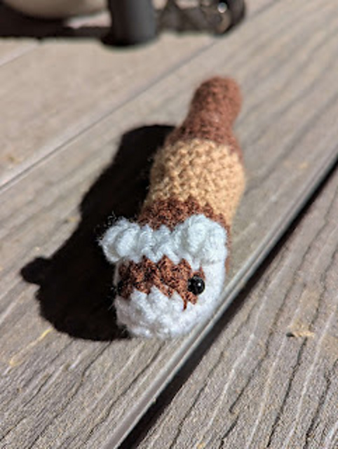 Ferret
