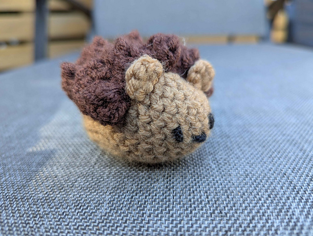 Hedgehog
