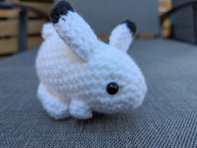Arctic Hare