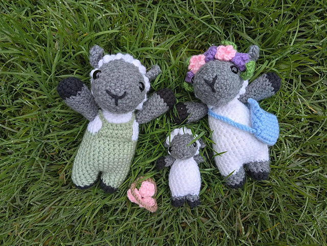 Sheep