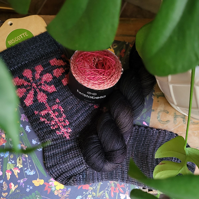 Tithonia Socks