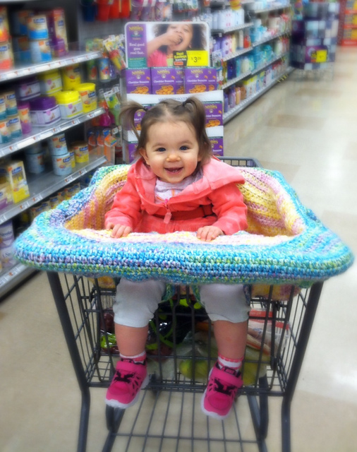 Shopping Cart Cover