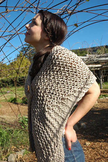Tilden Shawl