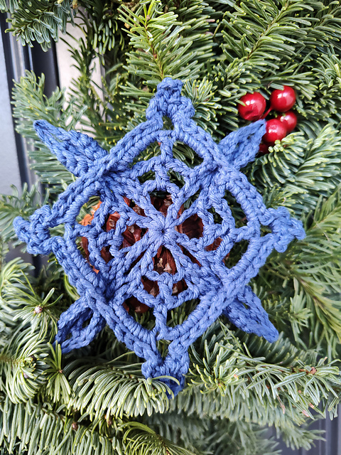 Snowflake Surprise Earring and Ornament