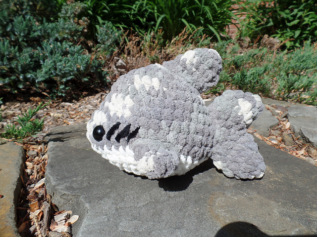 Chonkey Shark