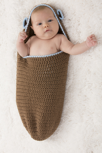 Baby Bear Cozy