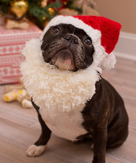 Santa Doggie