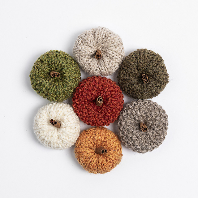 Fall Festival Mini Pumpkins