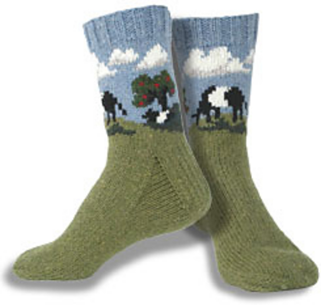 Cows in the Orchard