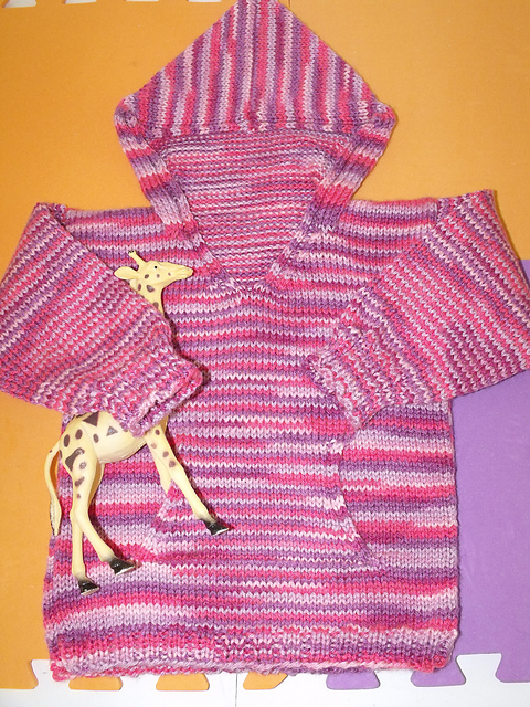Child's Hooded Sweatshirt
