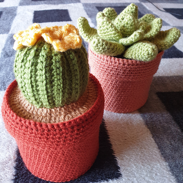 Ravelry: Succulent/Cactus Toiletpaper holder pattern by Bonita Viljoen
