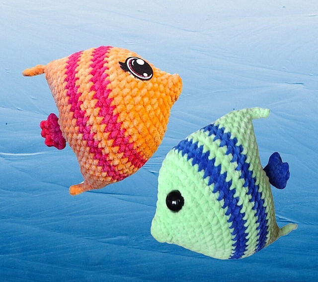 Avery the Angelfish