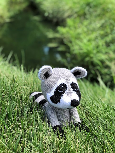 Rhett & Rainah Racoon