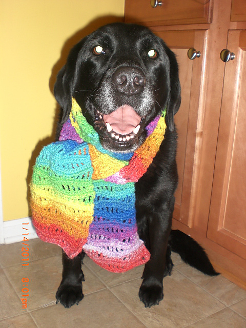 Waves & Ridges Knit Scarf