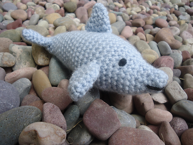 Dani Dolphin