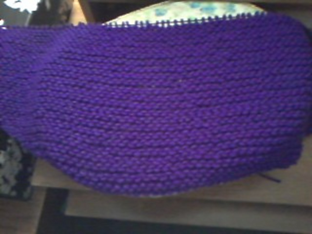 Lost Its Tail Triangle Scarf