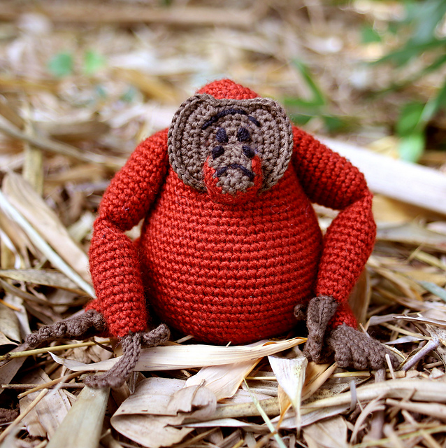 Maurice the orangutan