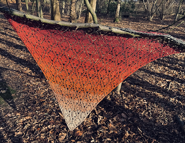 shroomies shawl