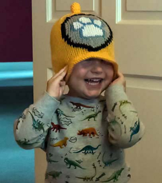 Paw helmet hat