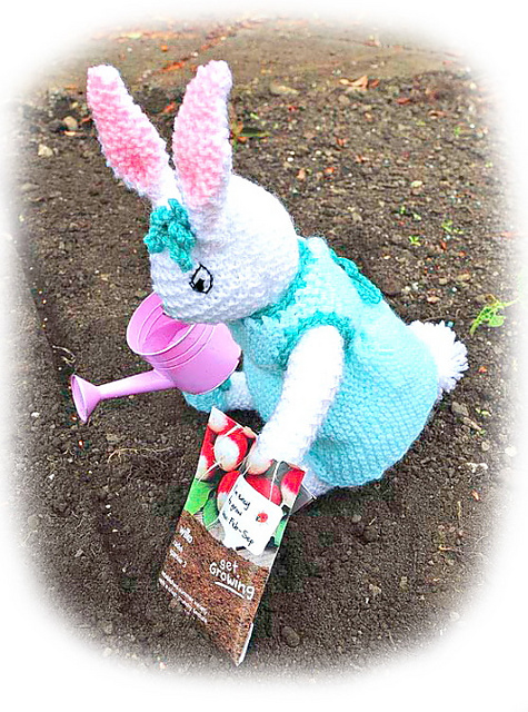Rosie Rabbit soft toy