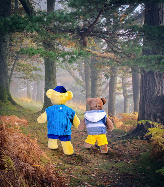 Large and Small Sporty Bear