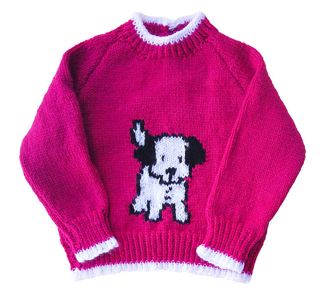 Puppy dog sweater