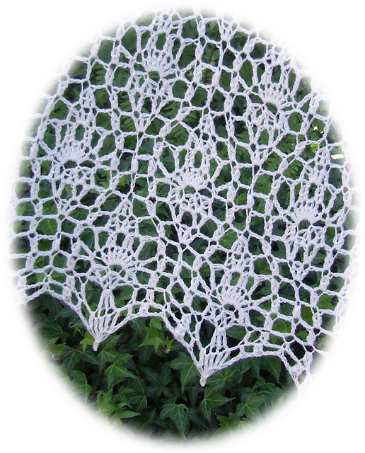 Brenna's Lace Scarf-Wrap