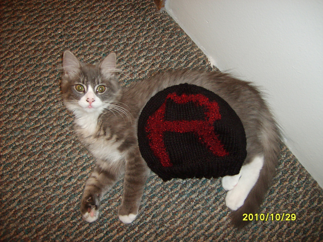 Team Rocket Beanie