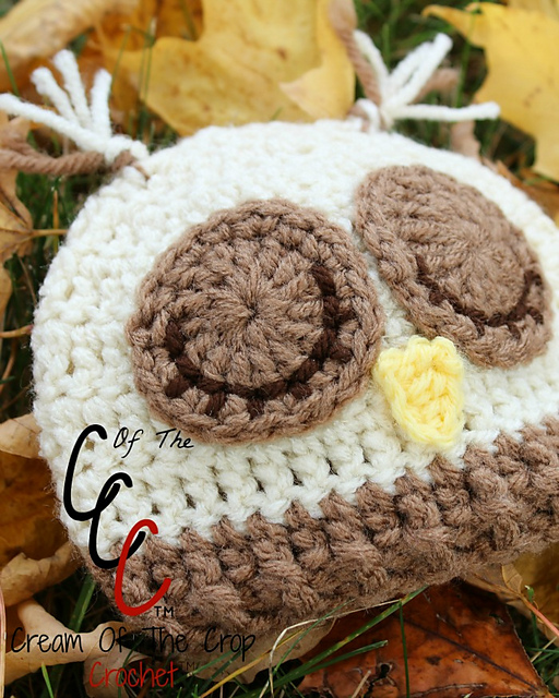 Preemie/Newborn Sleepy Owl Hat