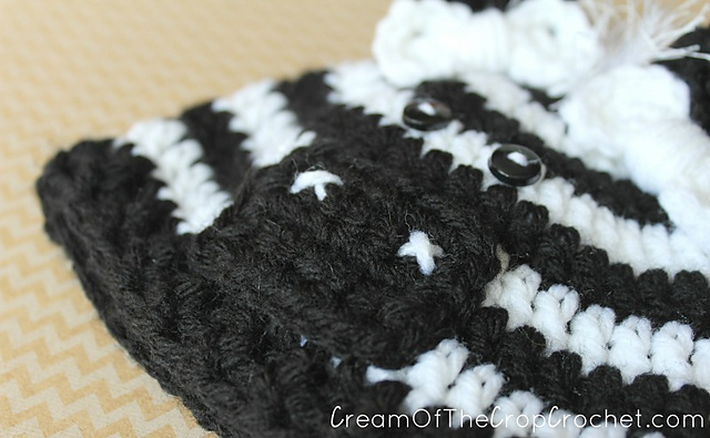 Preemie/Newborn Zebra Hat